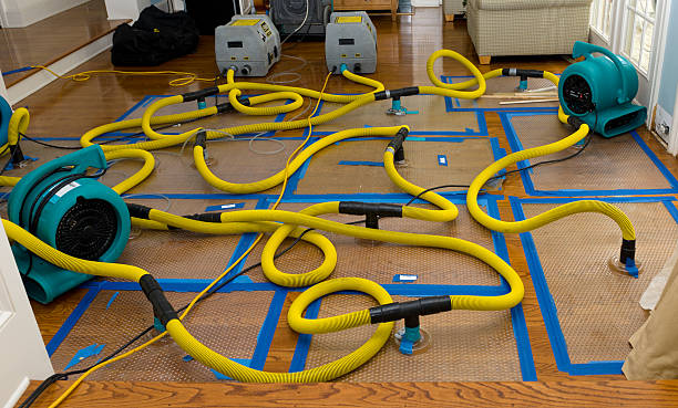 Professional Burst Pipe Water Damage technician working in Banks, OR